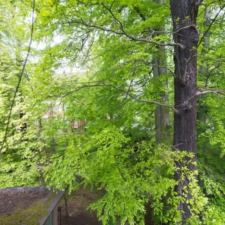 Citystay Willa Kosciuszki * Sopot